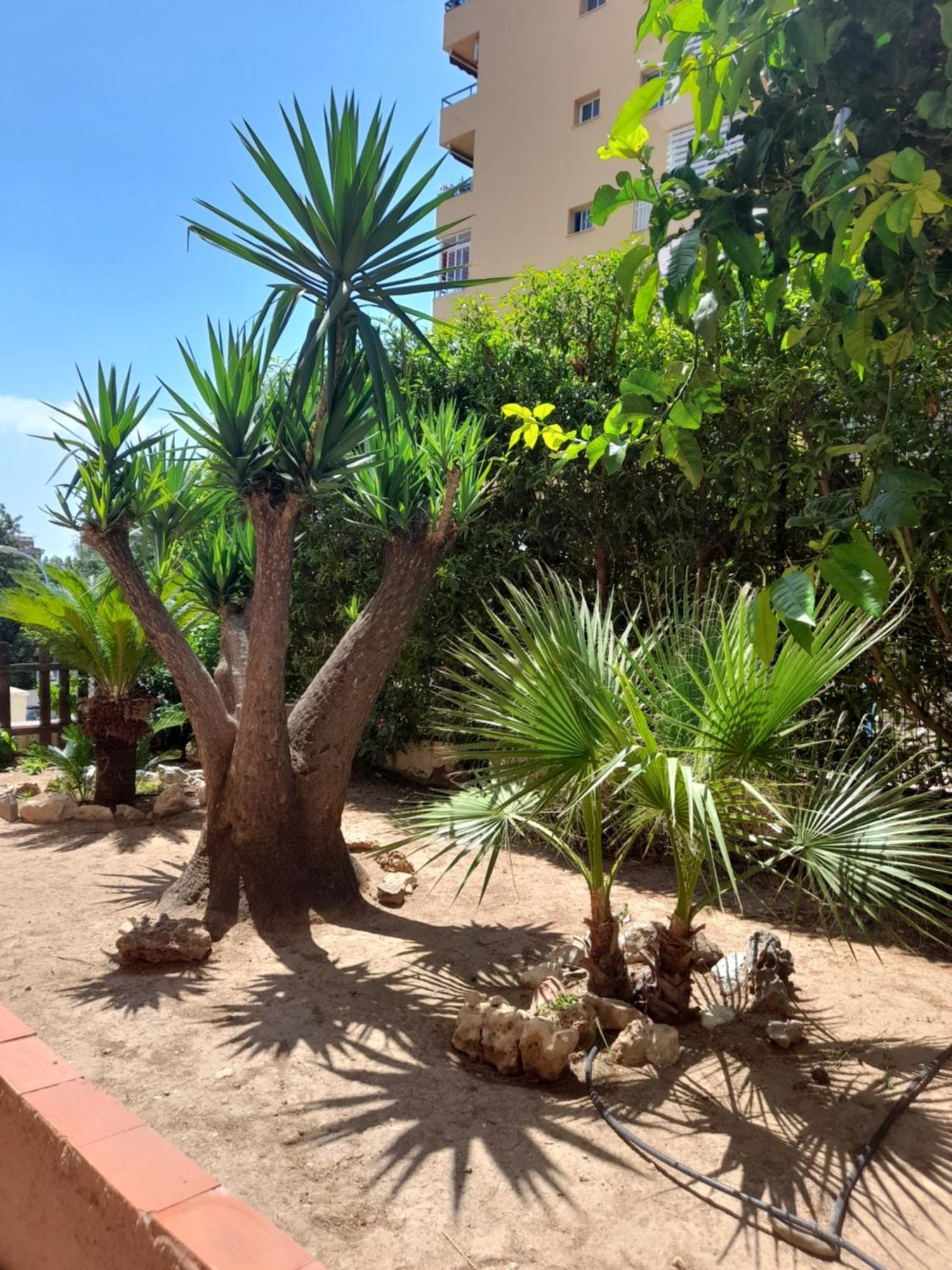 Torremolinos Centro Beachアパートメント エクステリア 写真