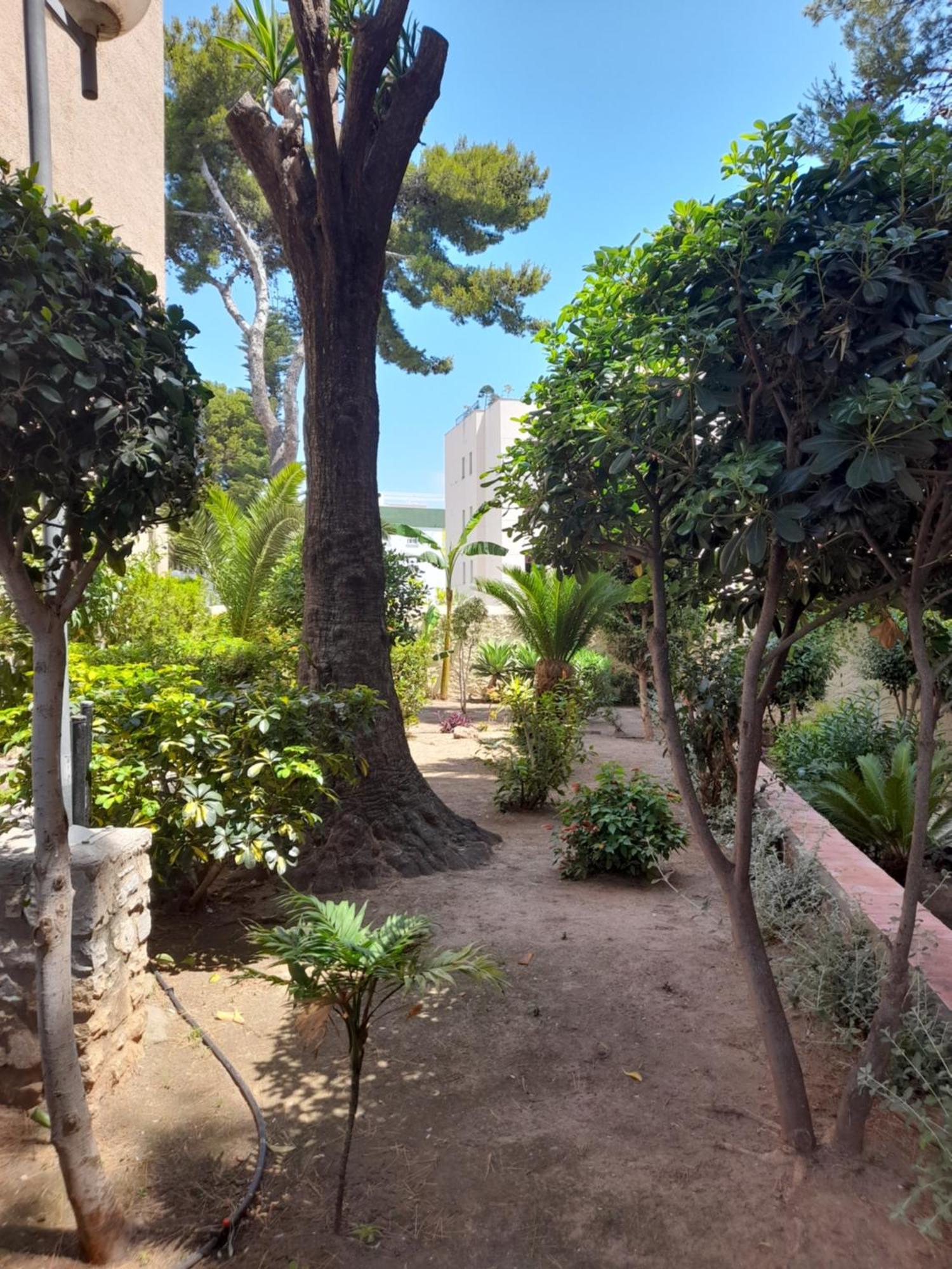 Torremolinos Centro Beachアパートメント エクステリア 写真